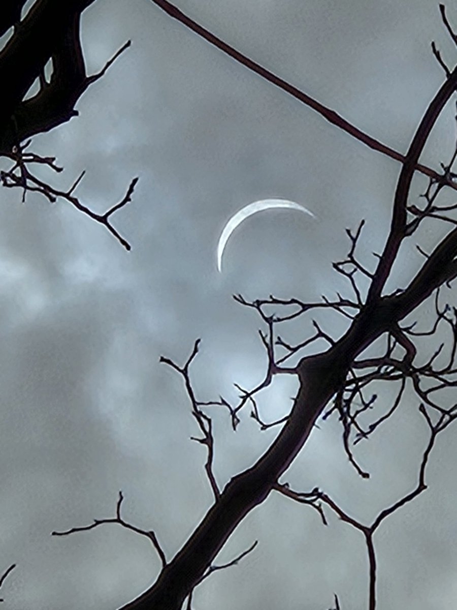 brendan rooney (@brenrooney) on Twitter photo I watched 😵💫 the #TotalEclipse2024 from Nick <a href="/bowmanspartan/">Nick Bowman (包尼克)</a>'s porch in Syracuse, NY
... for science... with beer...
for science!
#ucdpsychstories I watched 😵💫 the #TotalEclipse2024 from Nick <a href="/bowmanspartan/">Nick Bowman (包尼克)</a>'s porch in Syracuse, NY
... for science... with beer...
for science!
#ucdpsychstories