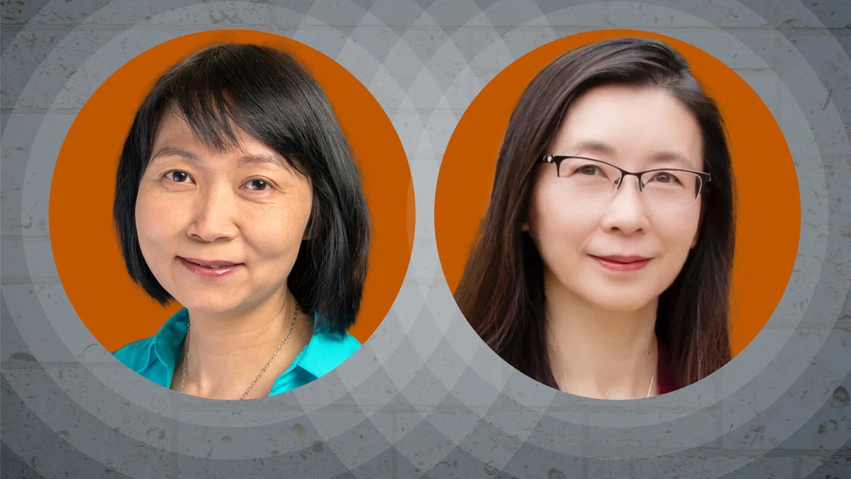 Elaine Li and Xiuling Li will co-direct @UTAustin’s new Texas Quantum Institute, which will boost research and education in quantum science and engineering. #QuantumScience #QuantumComputing #QuantumEngineering cns.utexas.edu/news/announcem…