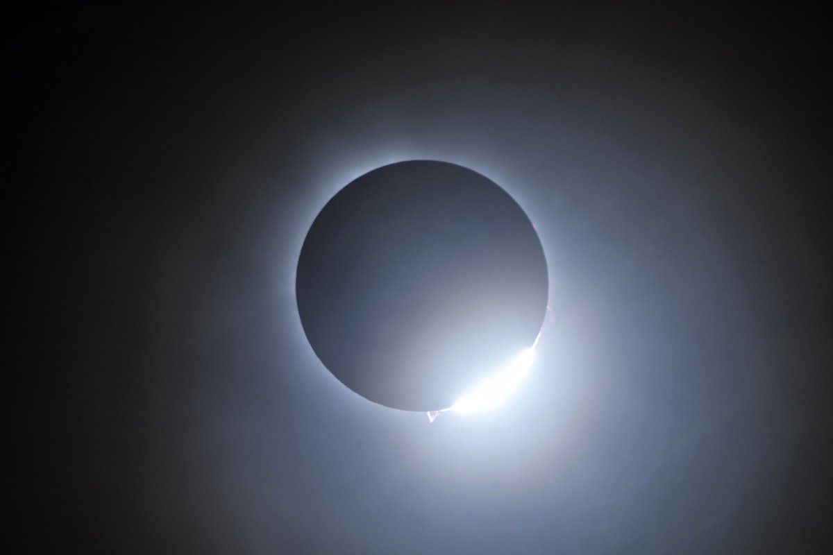 Dave DiCello tweet media