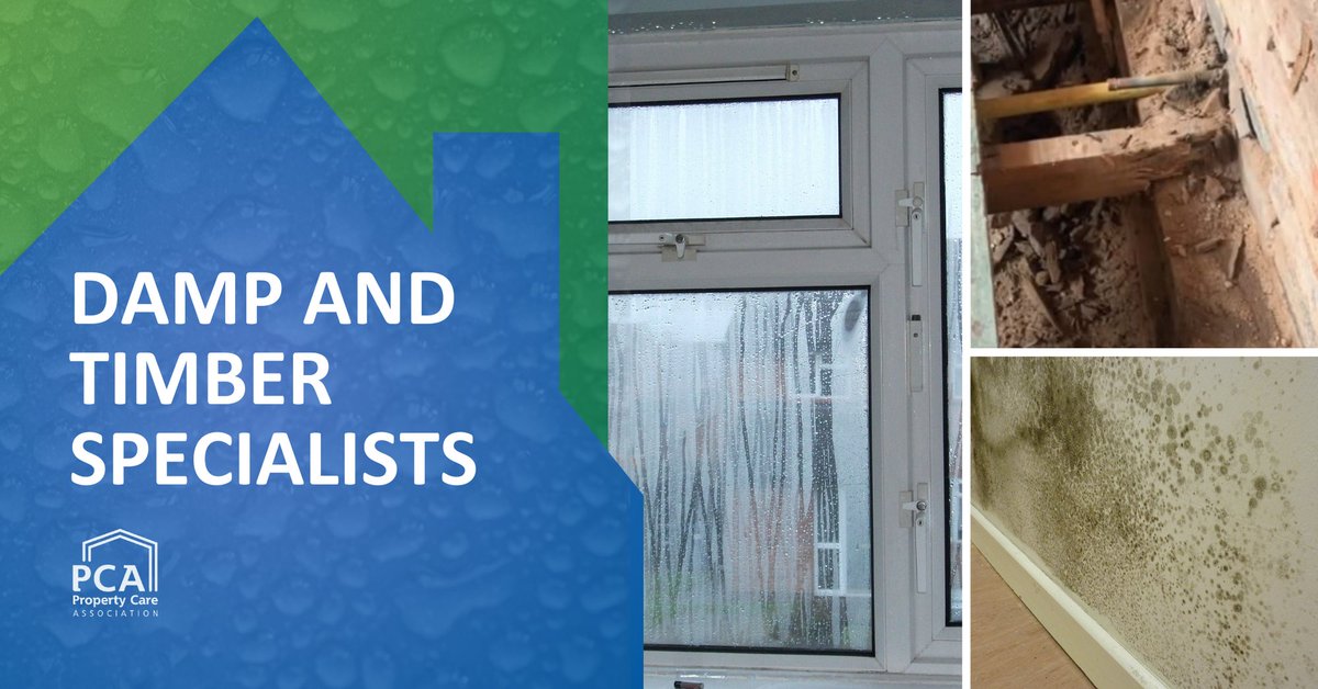 PCAPropertyCare's tweet photo. If you are looking for help with any damp and timber issues within your property, you can search for one of our skilled and qualified PCA members here click here ๐https://t.co/K7ppQhoJti
#propertycareassociation #pca #pcamember #dampandtimber #damp #timber https://t.co/PLcVhwkicm