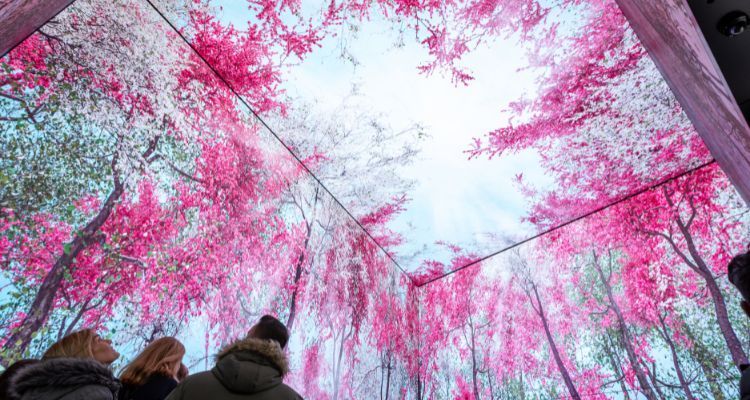 TownFish tweet media