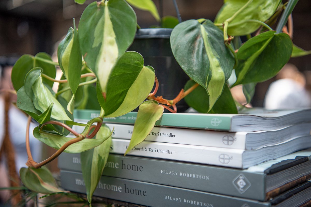 Step into a botanical wonderland at the new Festival of Houseplants at #RHSMalvern in partnership with @Green_Rooms_ Enjoy workshops, displays, exhibits, shopping opportunities with growers & gardening influencers on hand to offer advice 🌱 More info: rhs.org.uk/shows-events/m…