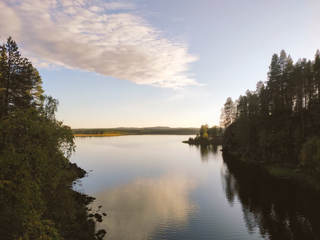 Hyvää suomen kielen päivää! 🇫🇮 🗣️🗨️