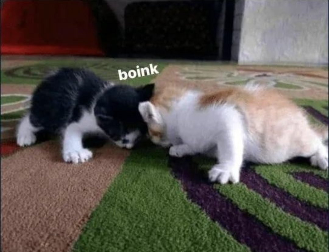 boink