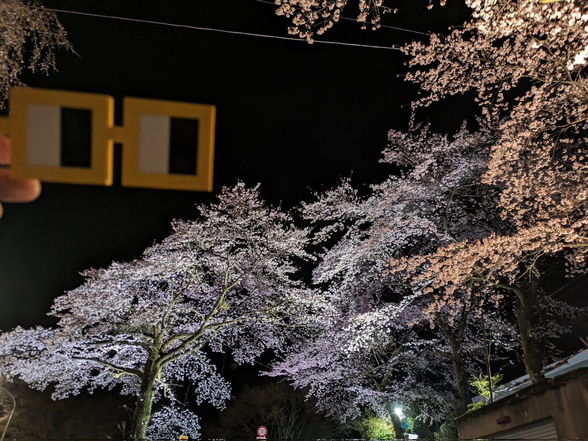 夜桜！

@NounsDAOJAPAN
@nounsdao
#全国バトンリレー 
#Nouns