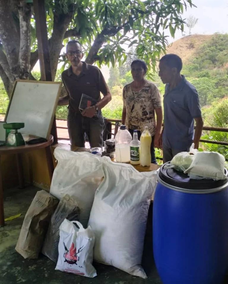 Productores de papa 🌱🥔en #Guárico, en Alianza Científico-Campesina desarrollaron microorganismos eficientes a granel, empleando tecnologías artesanales que garantizan una alta calidad del consorcio microbiano 🥔🌱. @Gabrielasjr #AvanzaPuebloUnido @Mincyt_VE @vs_cites