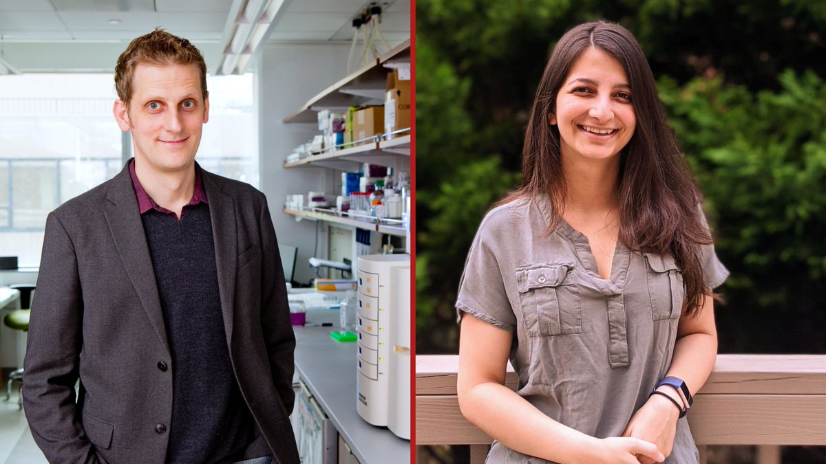 Researchers use cutting-edge sequencing methods to build the most comprehensive atlas of mRNA variants in the brain. The study, led by Dr. Hagen Tilgner of @WCM_BMRI and Dr. Anoushka Joglekar, may help us better understand brain function and disease. bit.ly/4arHE2P