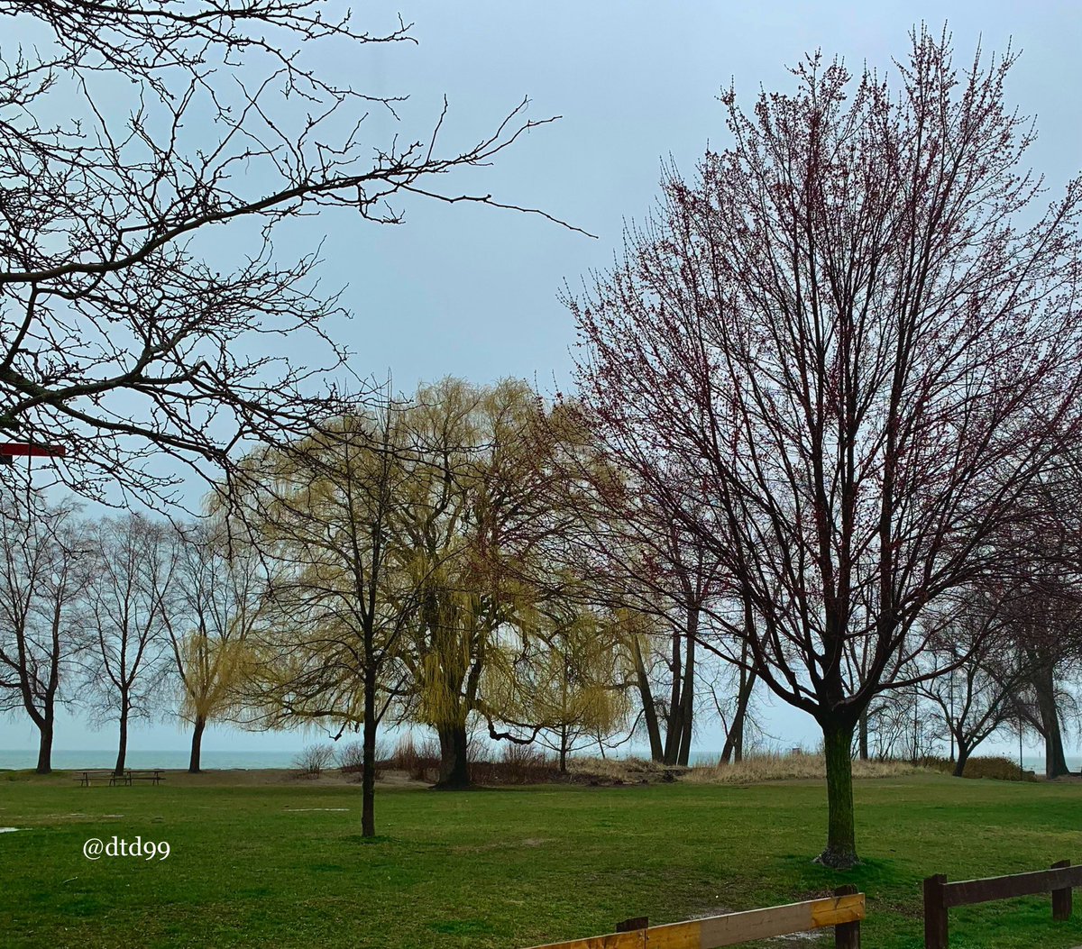 #AlphabetChallenge #WeekO for Lake Ontario, which is just beyond the #trees. Taken last week in St. Catharines, Ontario on an overcast and rainy day. #photography #mobilephotography #landscapephotography #RoadTrip