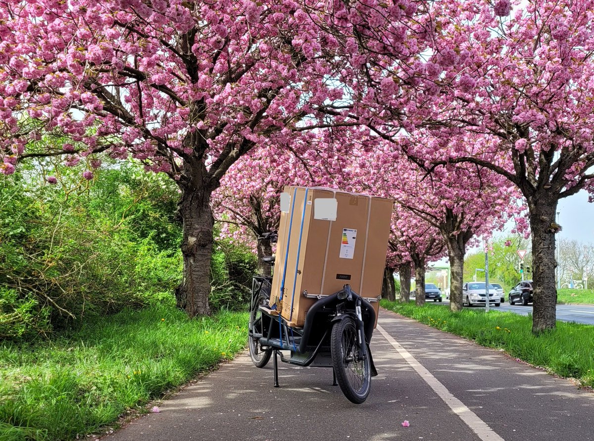 🥰🚴‍♀️🌸🎁💪😊
#Magdeburg
#Lastenrad #cargobike #carryshitolympics
#mdRzE