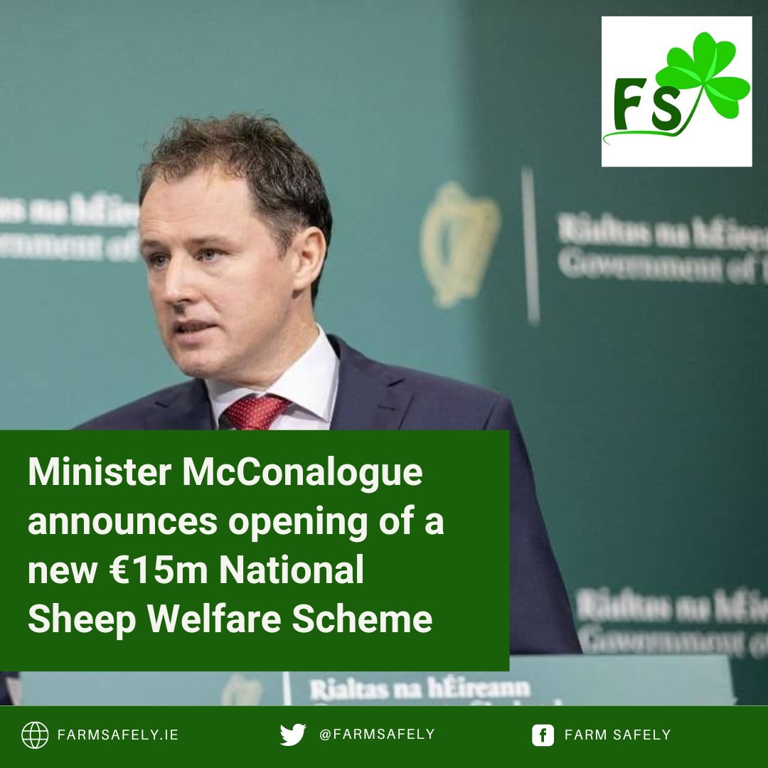 Minister McConalogue announces opening of a new €15m National Sheep Welfare Scheme

Read more: farmsafely.ie/minister-mccon…

#Irishfarmers #sheep #animalwelfare #farmingscheme
