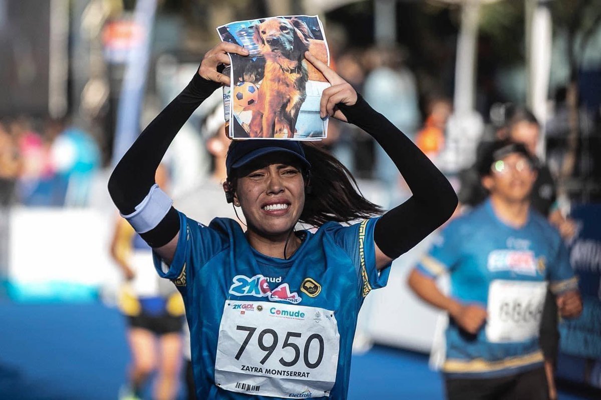 perros_shidoris's tweet photo. "No iba a correr el medio maraton de 21 km porque hace 10 días mi perrita trascendido a una mejor vida y con ella entrené para la carrera, pero un día miré una imagen de ella antes de la carrera y le pregunté que si me iba apoyar desde arriba, me diera una señal.

Después ella me dio ciertas señales por eso la llevaba conmigo, quería que observara que lo cumplí y me acompañara en nuestra carrera, al final lo logramos fue nuestro primer medio maraton, ella me salvó muchas veces de mi tristeza y tenía que hacerle un homenaje”

En honor a Lya, una perrita que lamentablemente perdió la batalla de su enfermedad a los 6 años de vida.