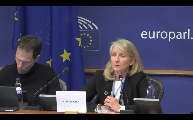 Pleased to speak at the last @EP_Development mtg. about #SDGs.🙏for partnership and commitment to #Agenda2030. In this time of poly crises, multilateralism & strong #EU-@UN partnership is key to solve pressing challenges – #climatechange, poverty, hunger or rising inequalities.