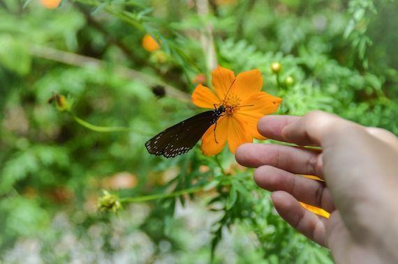 la_lesaffaires's tweet photo. Les entreprises doivent s'engager en faveur de la biodiversité dès maintenant https://t.co/TpDamIuxDY https://t.co/yIGsJ0DC2f
