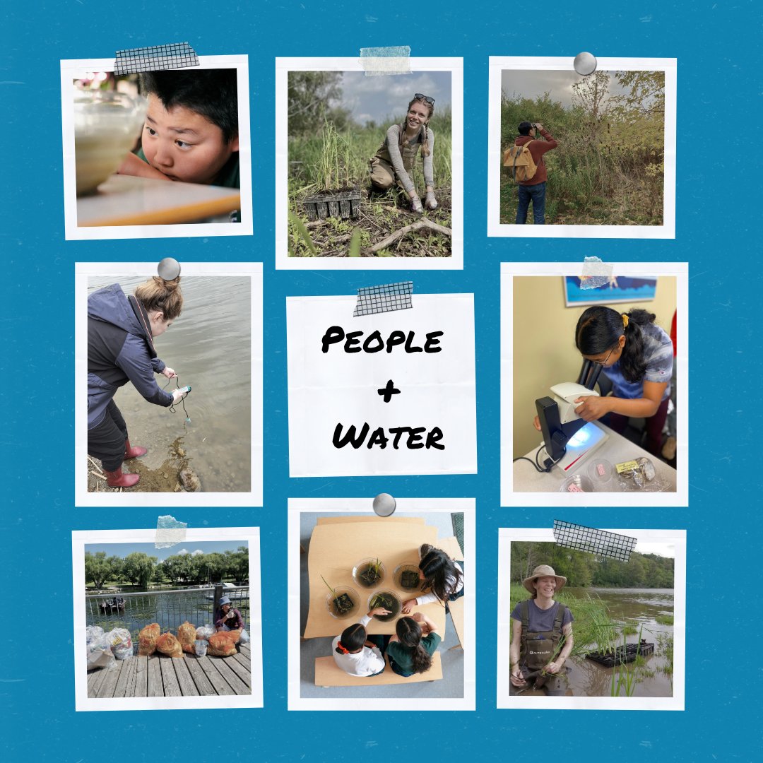 Retired Account - Bay Area Restoration Council tweet media