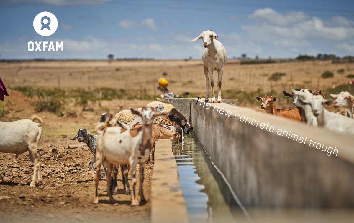 Drought denies pastoralist communities of a steady water supply. Consequently, animals flock to the few established water points and damage the infrastructures as a result. Thanks @ScotGovID and @SNDAfrica for the restoration. The new spacious concrete trough is a game changer.