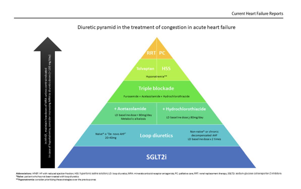 🔴 Combinational Diuretics in Heart Failure #2024Review 💥The Diuretic Pyramid link.springer.com/article/10.100… #Epeeps #CardioTwitter #EHRA2024 #CardioEd #Cardiology #FOAMed #meded #MedEd #Cardiology #CardioTwitter #cardiotwitter #cardiotwiteros #CardioEd #MedTwitter #MedX