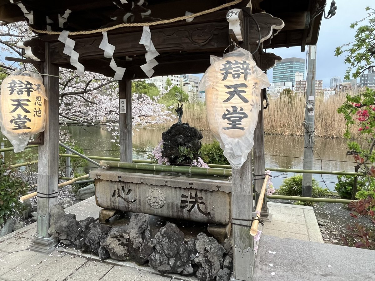 zackgrd's tweet image. Japan day 1 - Akihabara/Ueno 👾🌸