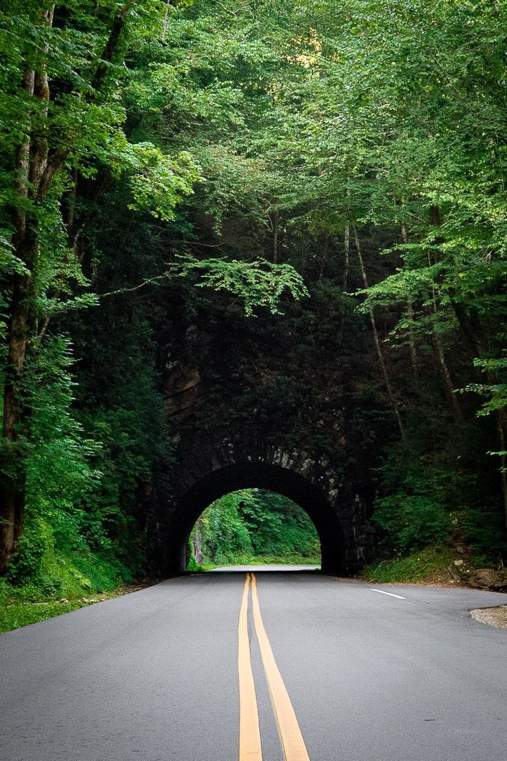 Great Smoky Mountain National Park #Tennessee #TravelTuesday #bucketlist