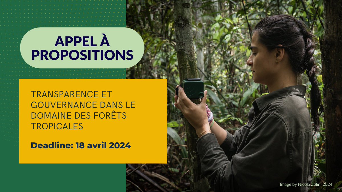 On cherche des projets ambitieux de reportage sur les forêts tropicales qui abordent l'intersection de la transparence des données, de la gouvernance, et de la déforestation. Les propositions doivent être reçues avant le 18 avril 2024. Plus d’information: bit.ly/3J7uCf6