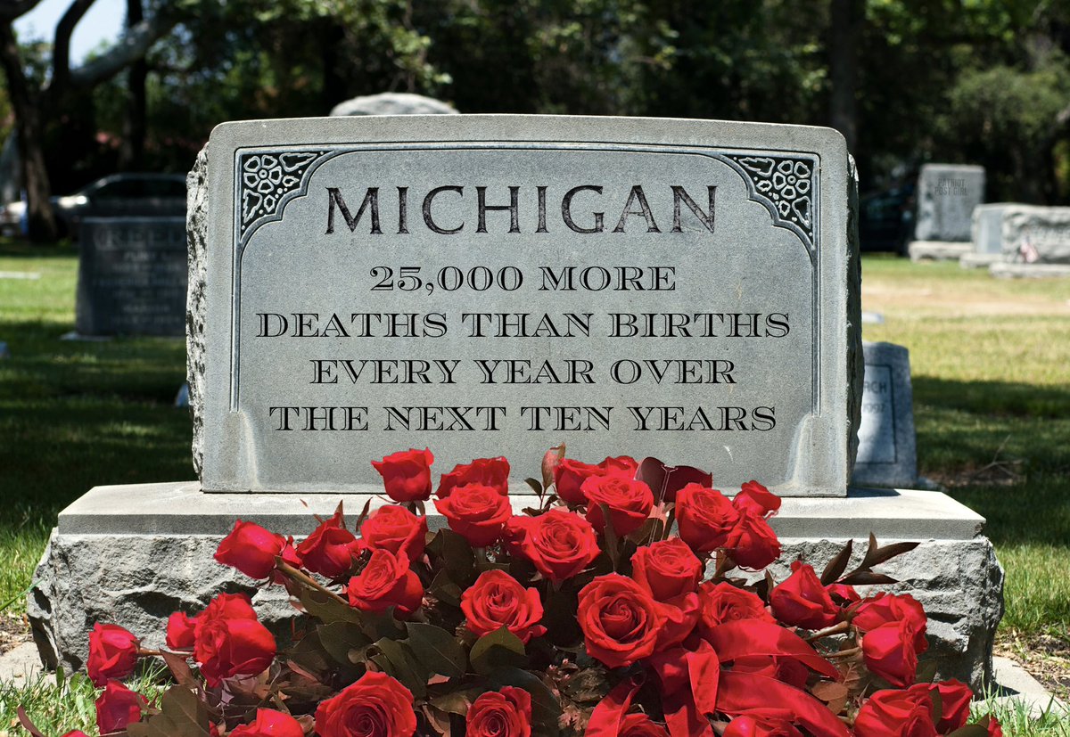 Michigan is projected to lose 700K residents by 2050, with 25K more deaths than births over the next decade. Meanwhile, our Governor thinks it’s a flex to fight like hell to promote abortion. 

#PureMichiganDownsizing
#PoorMichiganGrimOutlook