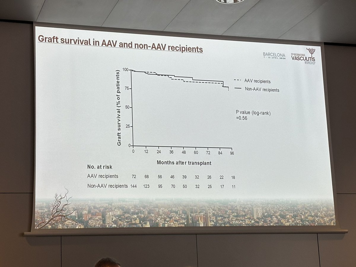 Outcomes of kidney transplantation in #ANCA vasculitis children: tremendous amount of work carried by Dr. G. Trivioli #vasculitisBCN2024. Important role of the ANCA status at the time of KT.