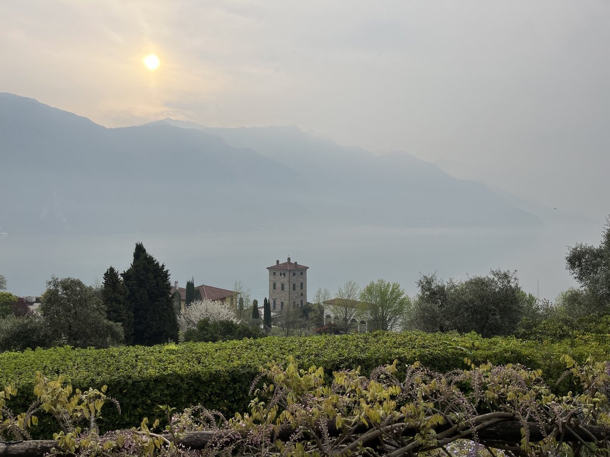 Global Strategy Lab tweet media