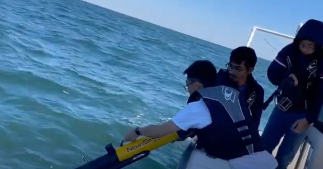 ECE Florida tweet media