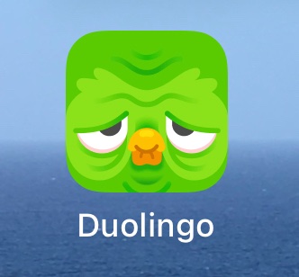 have I accidentally made a dorian gray style pact with duolingo? feel like my logo is gonna wither and rot whilst I live forever