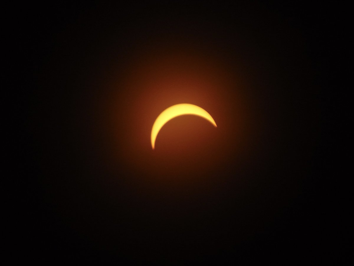 carr0tluver's tweet photo. Still mad at 'human' for abandoning me yesterday. Didn't get my afternoon treats until 10pm!
He drove several hours to some place called 'totality'.
He did bring back some cool pictures...
#Gumpy #TutuTuesday #SolarEclipse2024 https://t.co/luXEyEMm0h