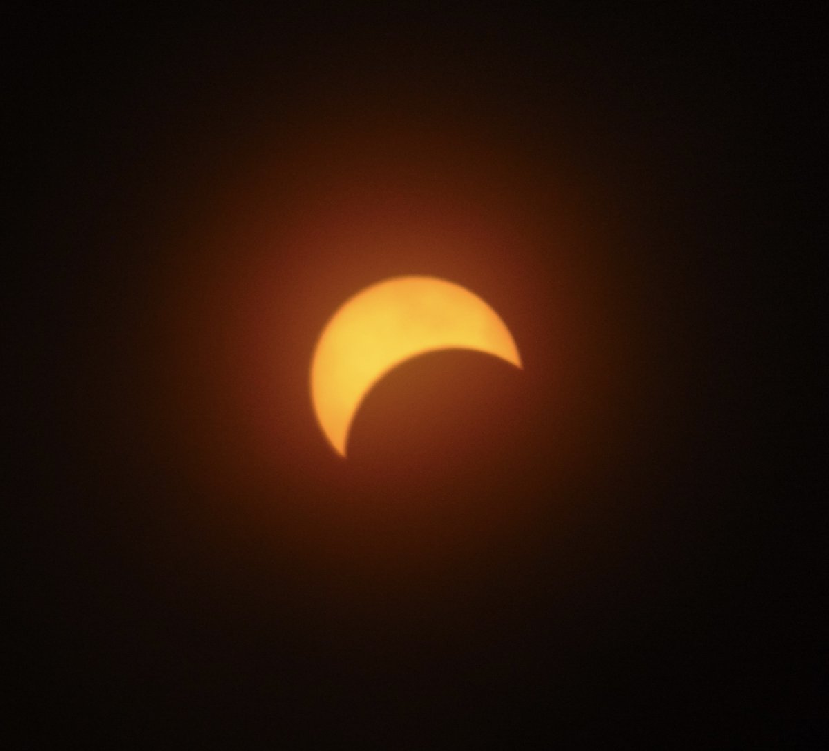 carr0tluver's tweet photo. Still mad at 'human' for abandoning me yesterday. Didn't get my afternoon treats until 10pm!
He drove several hours to some place called 'totality'.
He did bring back some cool pictures...
#Gumpy #TutuTuesday #SolarEclipse2024 https://t.co/luXEyEMm0h