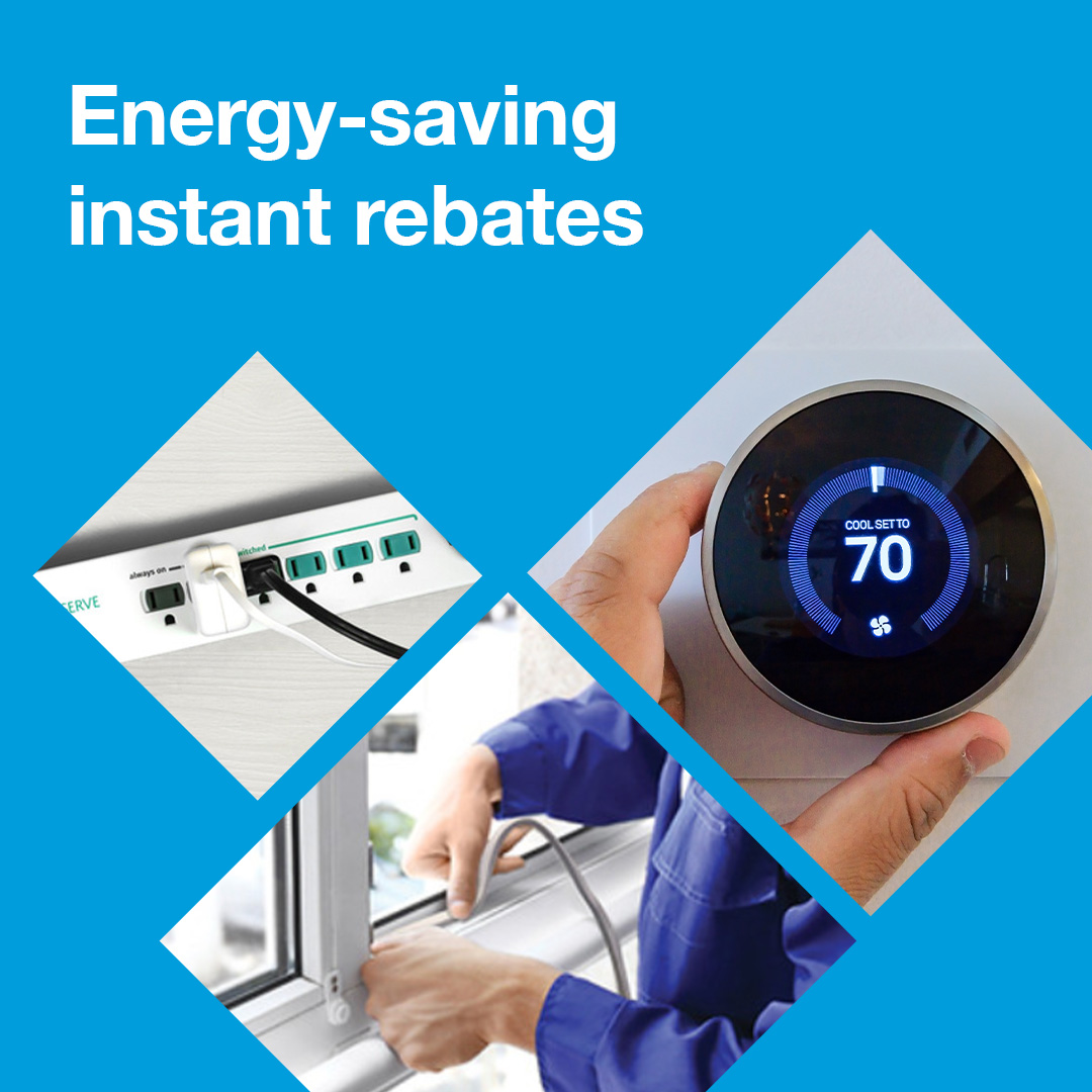 Did you know our valued Upstate NY customers qualify for instant rebates on energy-saving products? Shop a specially curated selection of smart home products such as LEDs, thermostats and advanced power strips here: ngrid.com/3xEt4Xa