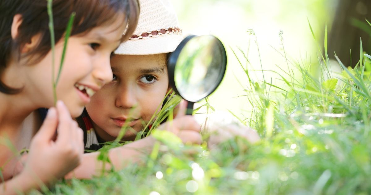 April is packed with ways to engage students in environmental education! From National Park Week to Earth Day, check out NEEF's resources for engaging, educational activities to inspire future conservationists! buff.ly/4aGI4Cp #environmentaleducation #STEM