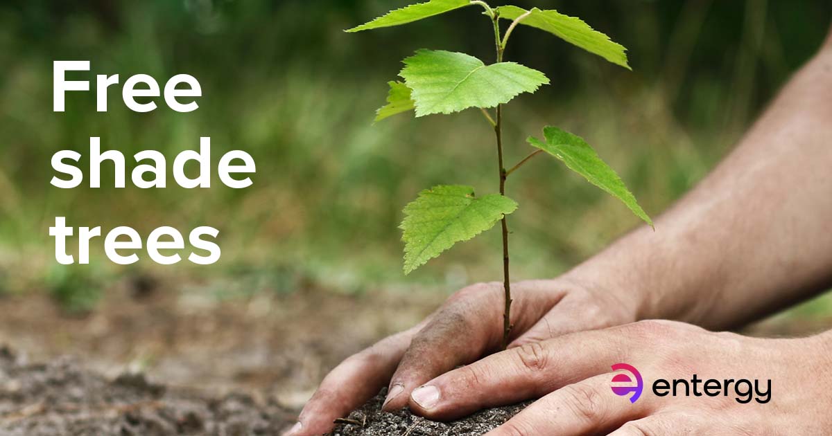 We’re partnering with @arborday so our customers can live a little greener. 💚 Register for a FREE tree and learn how to save up to 20% on energy bills by planting trees in the right place around your home. 🌳 Claim yours today ➡️ enter.gy/6012Z02um