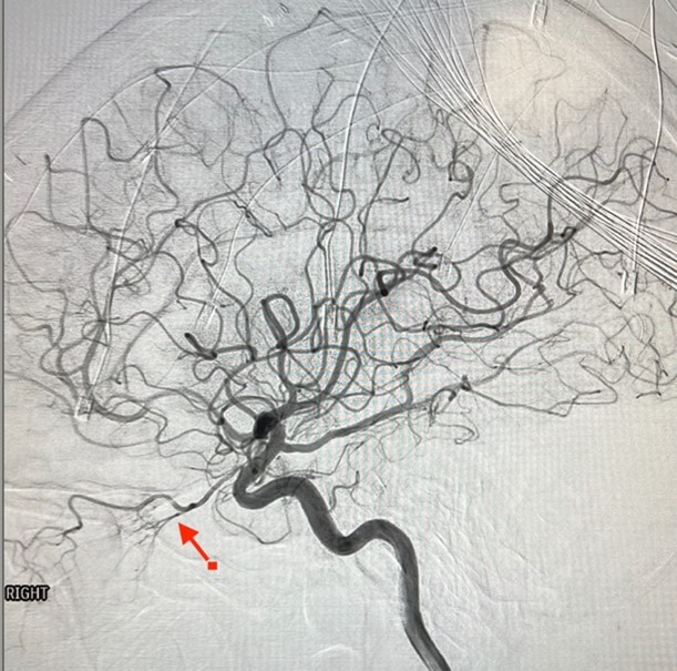 SNIS Info tweet media