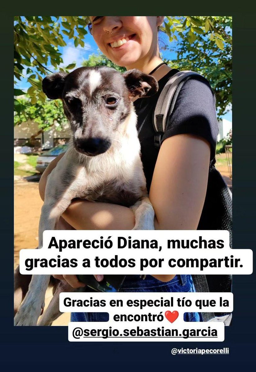 Agustina tweet media