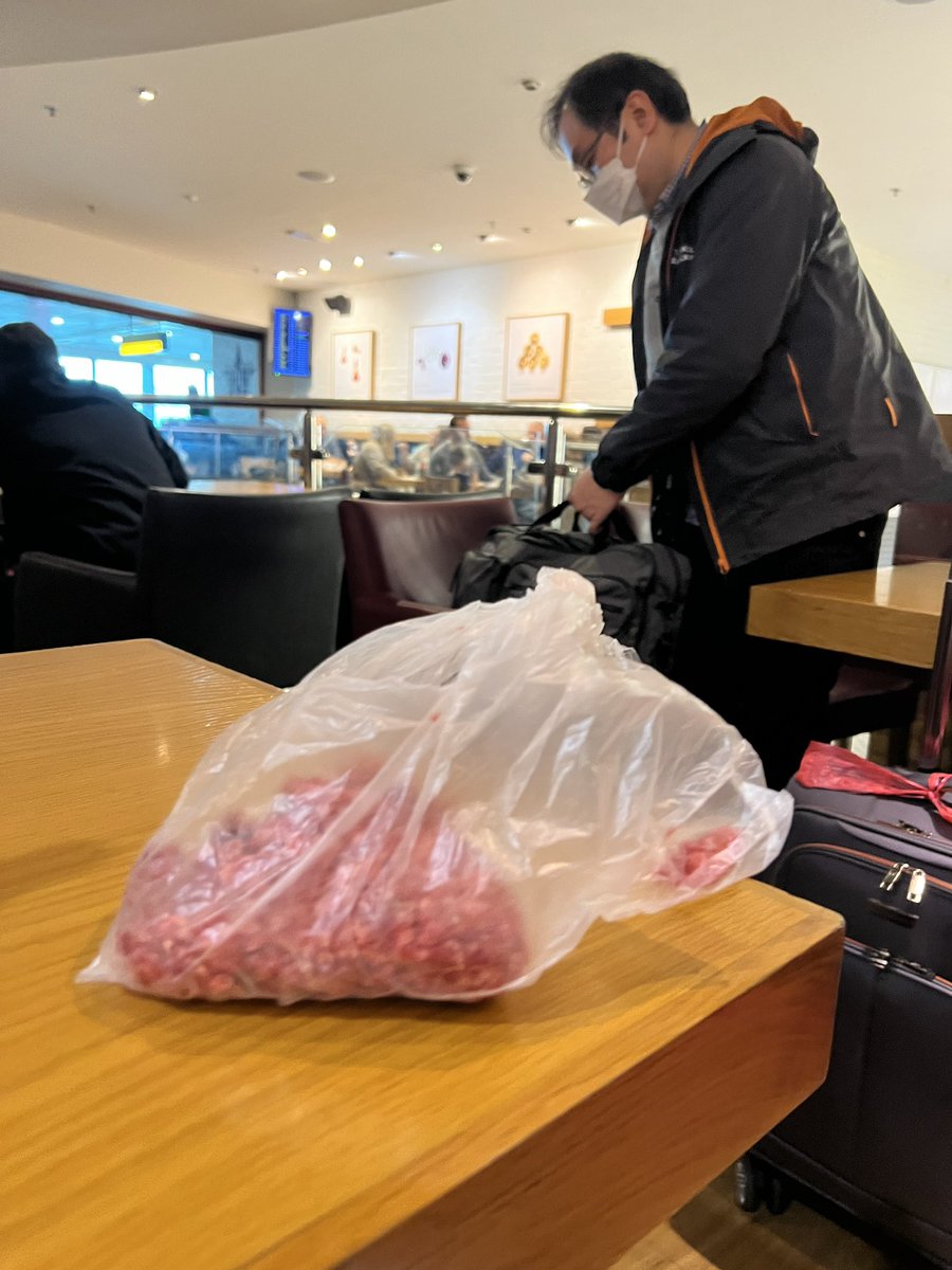 At the airport eating raw beef in a bag While the dude next to me is wearing a mask Different worlds