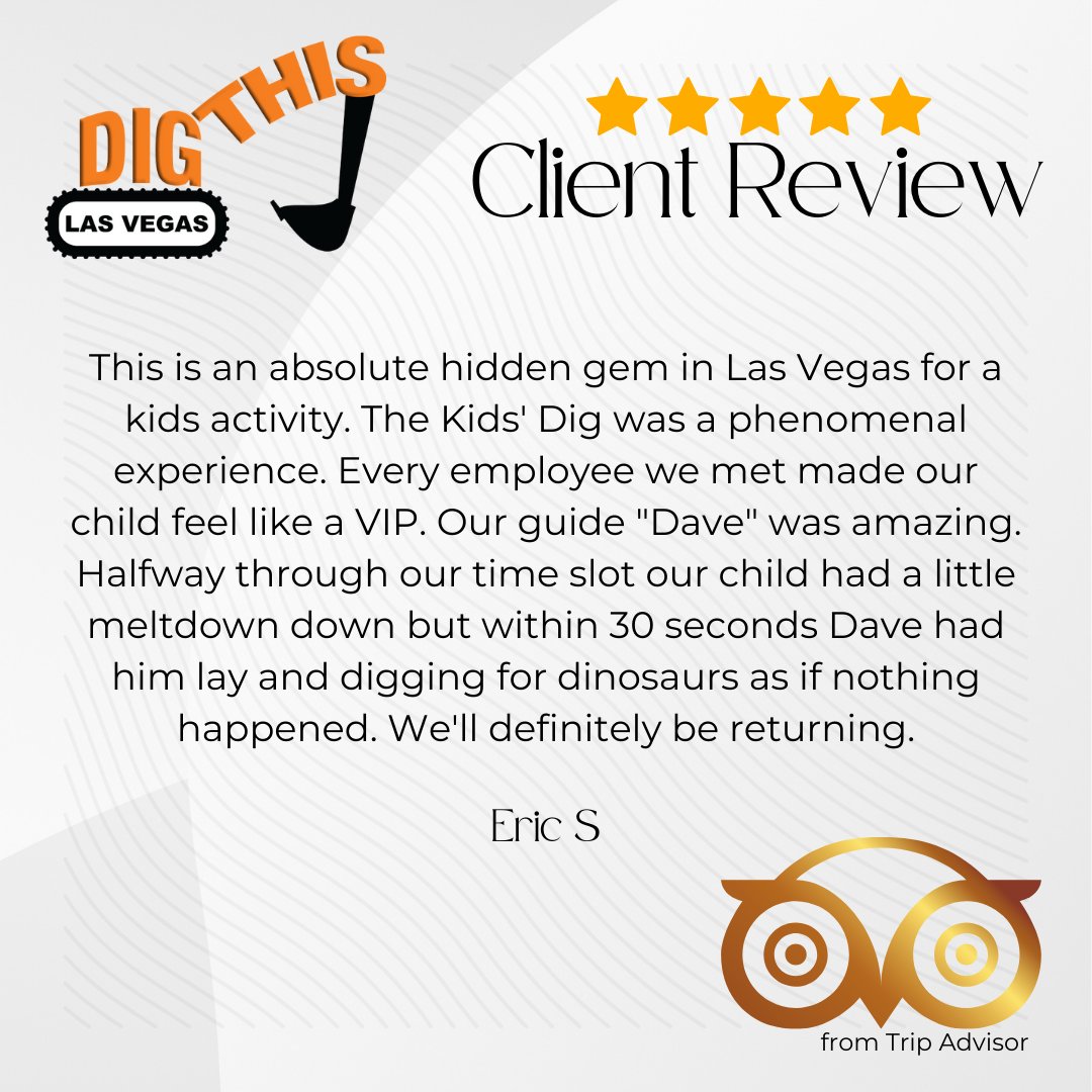 Dig This tweet media