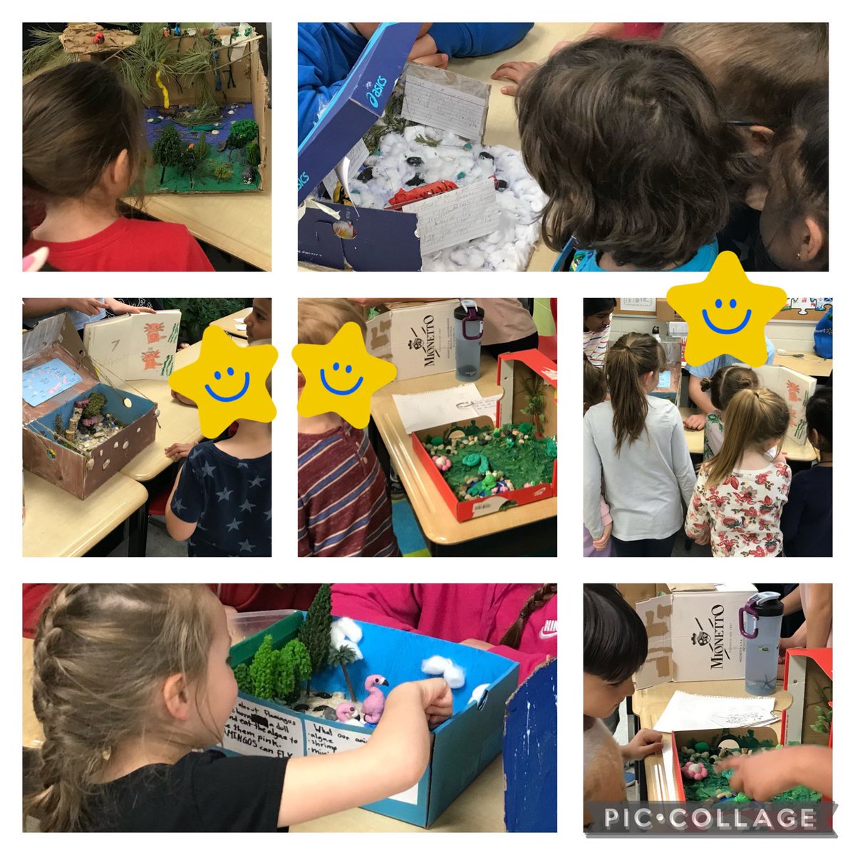 Grade 6 students sharing and building knowledge with students. Sts learning together about ecosystems, habitats and conservation. Great job sharing grade 6 #CHPSawesome