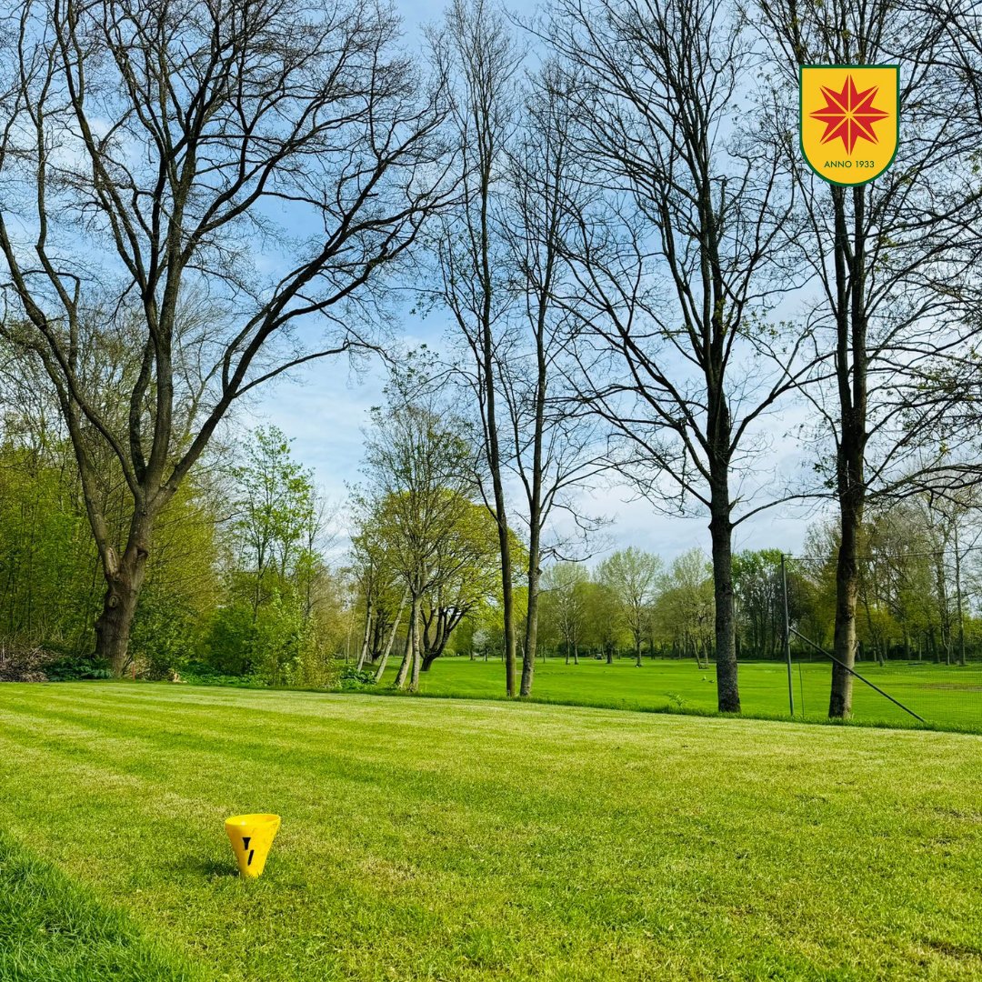 GolfKralingen's tweet photo. Hole 3, 7 en 9 zijn voorzien van een mooie nieuwe tee-box.

#teebox #golf #golfbaan #kralingen https://t.co/82uGFofhTc