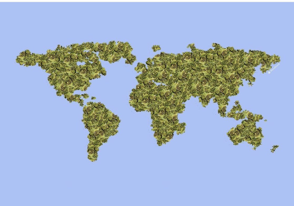 This is how I see the world!  Tell us where you are from & if Cannabis is legal. ☮️#Cannabis #LegalizeIt #CannabisCommunity #Mmemberville