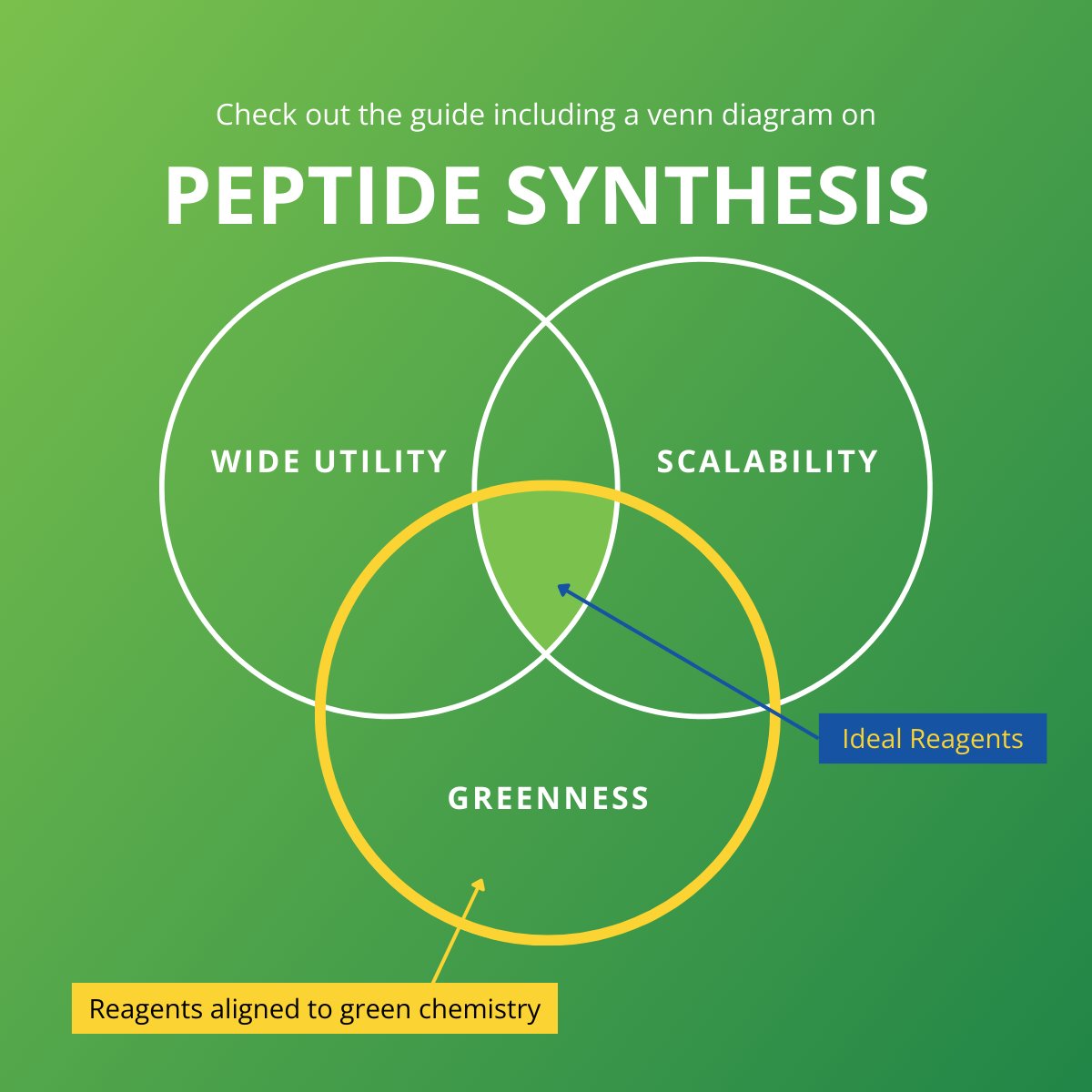 Check out the ACS GCIPR's new reagent guide on peptide synthesis to compare the scalability, utility, and greenness of reagents. The guide provides extensive literature reviews, discussions, and scale-up examples where possible. Access the guide freely: brnw.ch/21wIE9Z