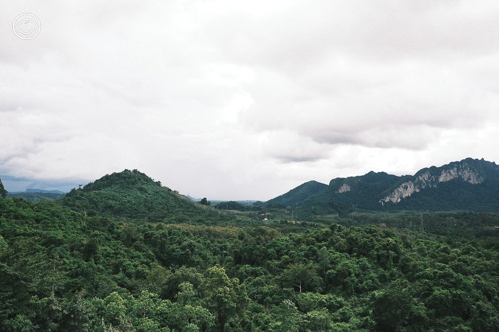 readthecloud's tweet image. ม.ล.ปริญญากร วรวรรณ เจ้าของคอลัมน์ #LifeonEarth ตามรอยตีนกระซู่และรอยเท้า #สืบนาคะเสถียร ณ #อุทยานแห่งชาติเขาสก #สุราษฎร์ธานี ดูร่องรอยแห่งความหวังว่าสักวันสัตว์ป่าจะมีสิทธิ์อยู่ร่วมกับมนุษย์ readthecloud.co/remembering-se…