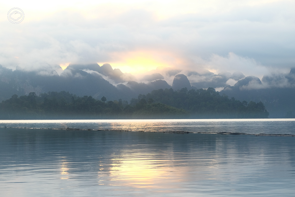 readthecloud's tweet image. ม.ล.ปริญญากร วรวรรณ เจ้าของคอลัมน์ #LifeonEarth ตามรอยตีนกระซู่และรอยเท้า #สืบนาคะเสถียร ณ #อุทยานแห่งชาติเขาสก #สุราษฎร์ธานี ดูร่องรอยแห่งความหวังว่าสักวันสัตว์ป่าจะมีสิทธิ์อยู่ร่วมกับมนุษย์ readthecloud.co/remembering-se…