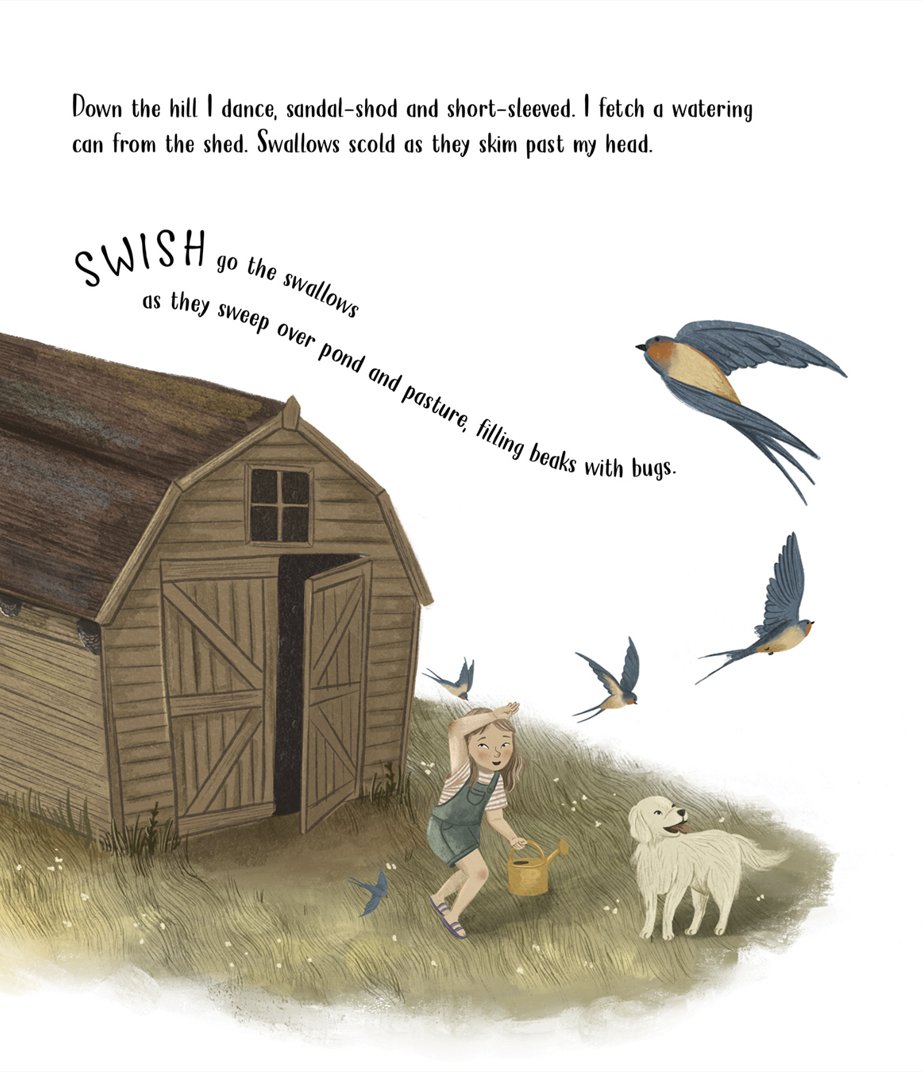 Swallows build nests and teach their young to snap up bugs, zipping through the air. One little girl watches the entire process, fascinated by the beauty of their life cycle! “Swallows Swirl” from Christina Wilsdon & Jess Mason is out now! 🕊️ rb.gy/pscg9g