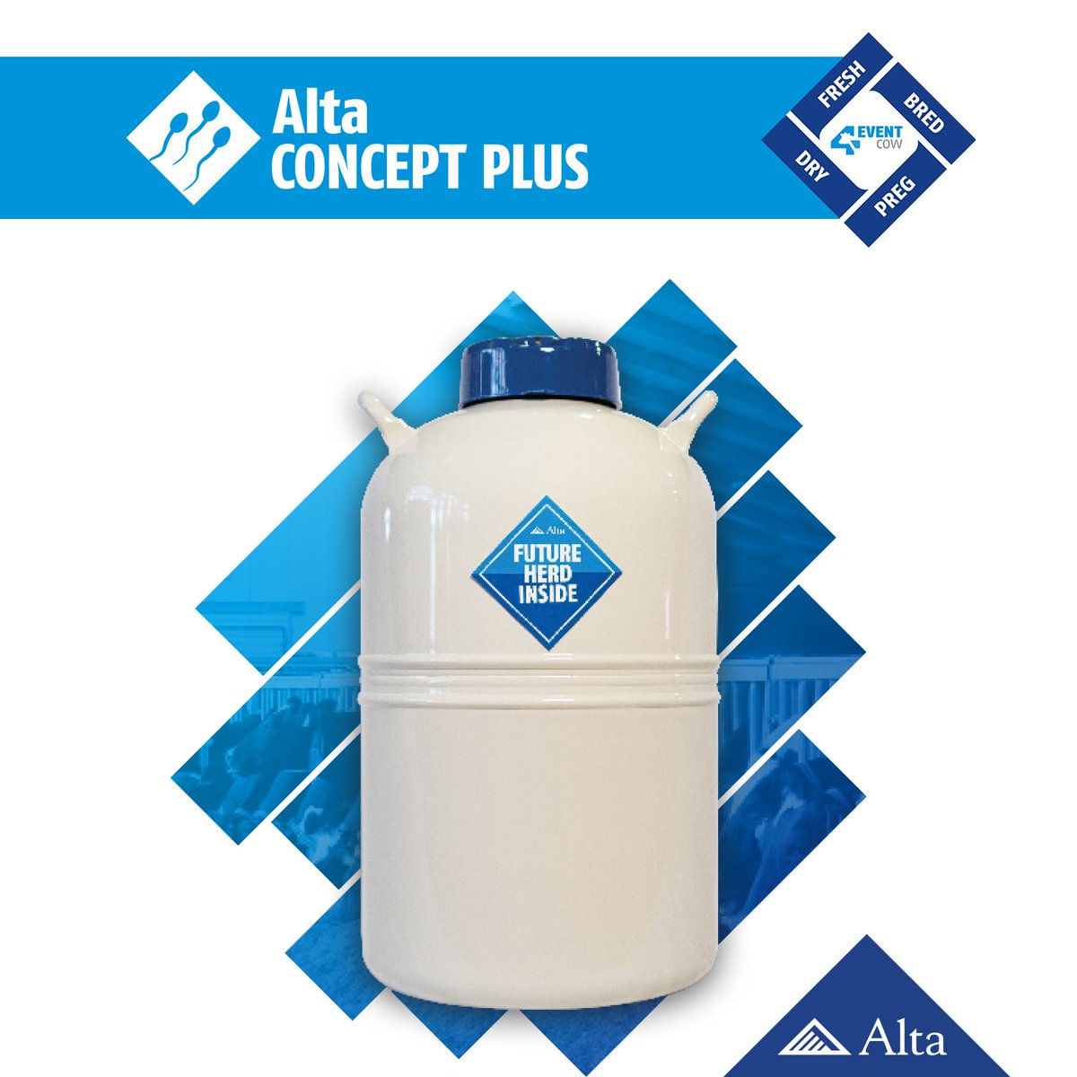 Alta 4-EVENT COWS are cows that should only have to be bred once. One way to help ensure this is by using Alta CONCEPT PLUS semen, which can result in higher conception rates within your herd. 

Ask your Alta rep about which Alta CONCEPT PLUS bulls are best suited for your dairy.