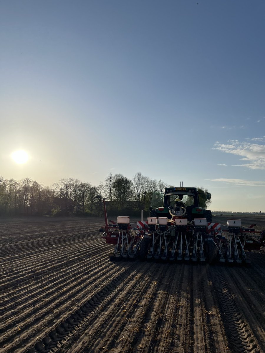 Tussen de buien door uien zaaien op vers geploegde land, loopt mooi 👌