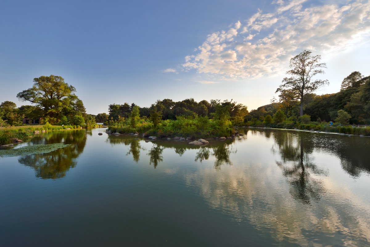 The Alliance is advocating for funding support from the Mayor + NYC Council to transform Prospect Park Lake’s shoreline to improve environmental resilience, support stormwater management, enhance visitor experience + strengthen wildlife habitat: prospectpark.org/Lakeshore