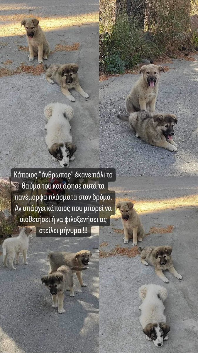 geolappas5's tweet photo. Αν μπορεί να βοηθήσει κάποιος…🙏🏽 https://t.co/CgnvOYPdRu