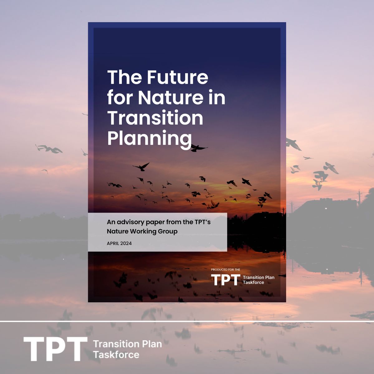 The @TPTaskforce publishes its final set of transition plan resources Explore all materials - ow.ly/i3rp50RbiLf As a member of the Nature Working Group , we welcome the release “The Future for Nature in Transition Planning” guidance. Download - ow.ly/sxPZ50RbiLh