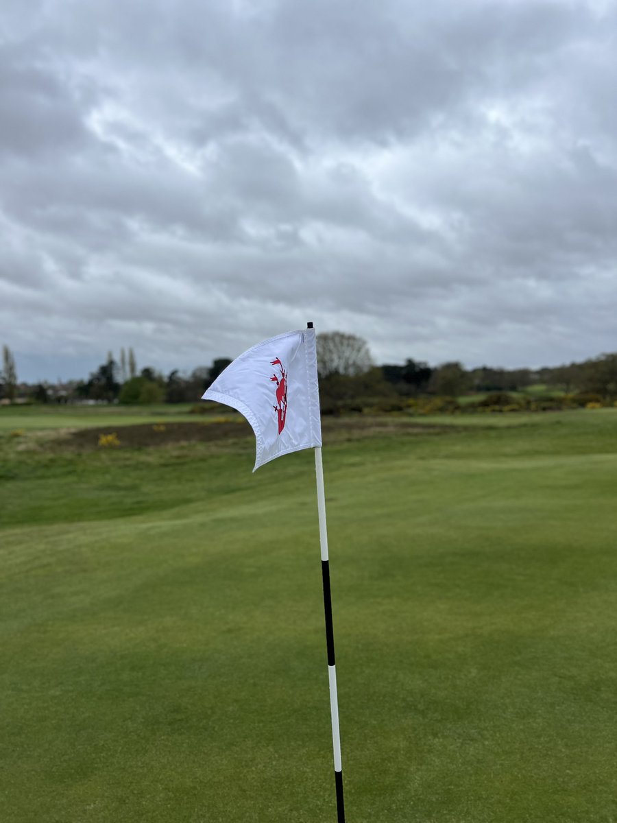 Matthew Rose tweet media